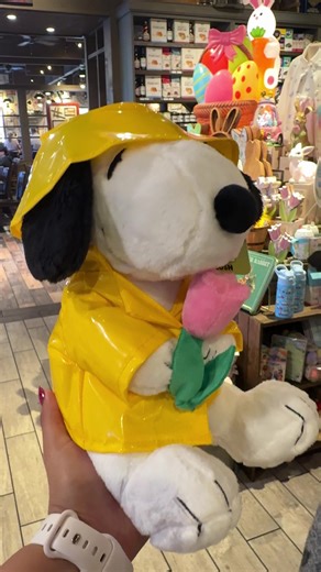 Discovering Hidden Treasures with Snoopy!