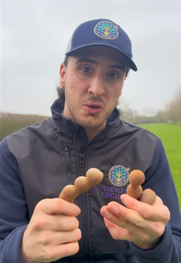 ✨🧼Sweet Tamarind available at www.thefifthorchard.co.uk 🧼✨ Why is it so powerful? 🤔 🔥 Natural cleansing energy Organic acids and soluble fibre help the body bind and remove waste efficiently without stressing digestion. 🍯 Smart sugar delivery Naturally balanced sugars that release steadily and support energy without sharp spikes. 🧠 Mineral rich profile Supports digestion, circulation and cellular function while helping the body stay regulated. 💧 Hydration support High water content helps 