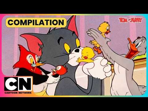 Tom & Jerry | Quacker in BIG Trouble!😭| Animal Special🐶🐥| ‪@cnindia‬ ​