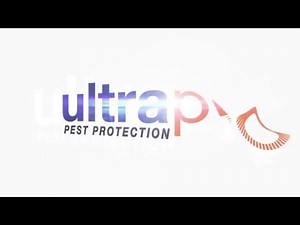 Integrated Pest Management For Keeping Rodents Out of Your Warehouse 3/5