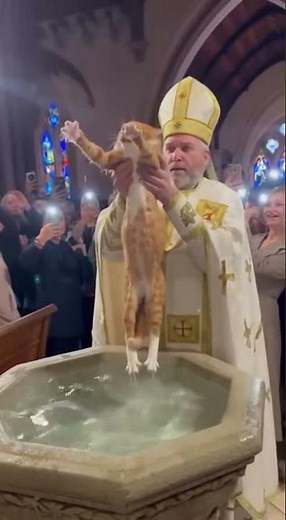 Priest Baptizes Cat in Water and the Cat HATES IT! 😂 #shorts #viral #cat