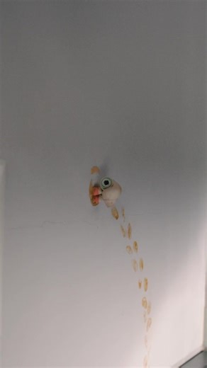 Dean Fleischer Camp (@marceltheshellwshoeson)’s videos with original sound - Dean Fleischer Camp