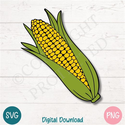 Corn on the Cob SVG: Cricut & Silhouette Cut Files (digital) - Etsy