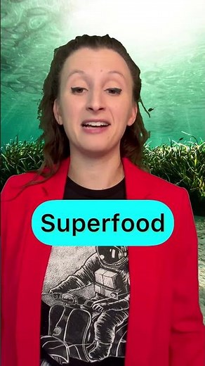 Here's why seaweed is SO important!! 😱🌊 #shorts #kidsvideo #youtubeshorts #science #sustainability