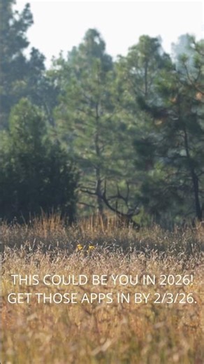 ARIZONA ELK APPLICATION SEASON! #elk #archeryelk #arizonaelk #journeyoutdoors