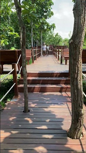 Relaxing Walk in Cambodian Jungle | Hidden Nature Spot