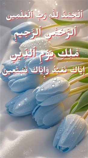 Quran learning Tajweed Kayda Bangla Rules | কুরআন শিক্ষা বাংলা #shorts #quranlearning #qurancampus