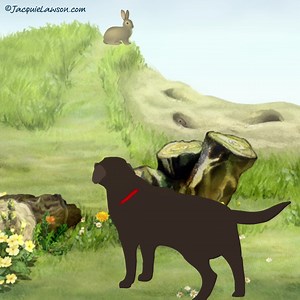 Hop to it! Start sending our fun animated ecards today! | Jacquie Lawson ecards