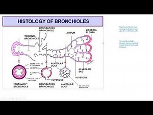 Pathology Made Easy-Systemic Pathology 5-Lung Diseases-1