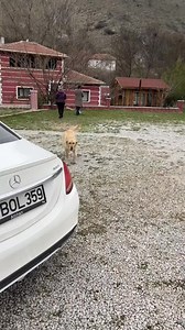 22K views · 911 reactions | Why did the princess get angry? | Murat Noyan | Facebook