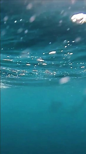 Water Sounds, Bubbling Sound, Under Water Noise, Underwater Bubble Sound, White Noise, Asmr