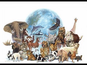 The Seven Days of Creation for Kids, Bereishit Genesis