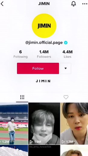 Official BTS TikTok Account and Members' Profiles