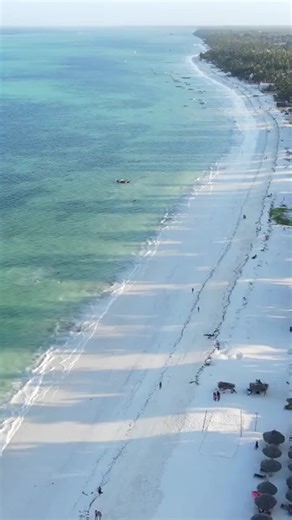 Strange But True Facts Pt 9 #strangebuttrue #strangefacts #realfacts #ShortestWarHistory #HumanVascularMaze #LightningHotterThanSun #OriginOfFrenchFries #AncientYourMomJoke