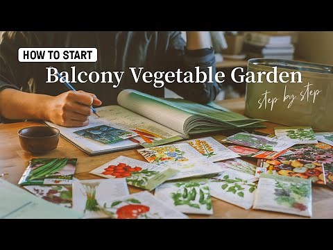 4 Steps to Start a SMALL Balcony Vegetable Garden｜Tips from Landscape Designer｜Beginner Gardening
