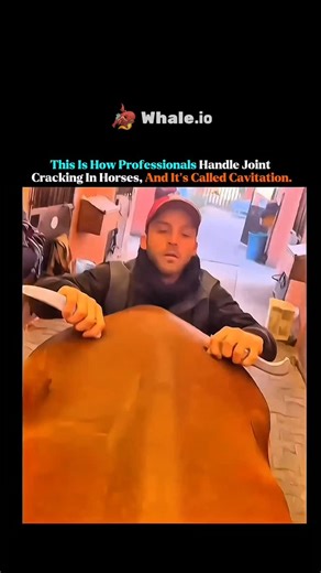 Mind Flux on Instagram: "That loud "pop" you hear isn't bones rubbing together. It's a natural phenomenon called cavitation. When a trained professional applies a quick, precise thrust to a restricted joint, the pressure inside the joint capsule changes instantly, causing gas bubbles -mainly carbon dioxide and nitrogen-to release from the synovial fluid, much like a cork popping from a bottle. This process can lead to immediate pain relief, improved range of motion, and a significant neurologica