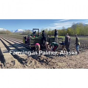 6.9K views · 203 reactions | Getting the fields planted. 塞復凌凜Can’t wait to share fresh Alaska Grown veggies with you all in a few weeks. #keeponmoving #farming #alaskagrown #supportlocal | VanderWeele Farm | Facebook