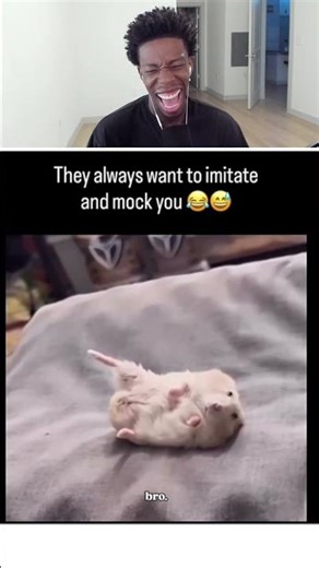 This is hilarious