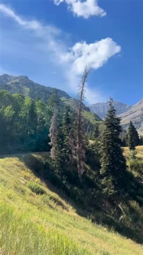 This is Sundance… my happy place. Robert Redford bought this canyon in 1969 to protect it from development, and he built Sundance Mountain Resort as a model of art, nature, and preservation. Later, he founded the Sundance Institute, creating a home for independent film and new voices. Beyond film, he fought tirelessly for Utah’s wilderness and advocated for conservation efforts across the country. Today’s hike is to remember his vision and his legacy. Robert Redford, you will be missed. | Kathy 