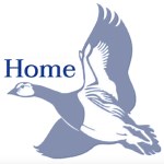 Greater Scaup - British Waterfowl Association