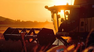 100 Prozent Bio-Landwirtschaft – Funktioniert das?