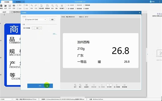 Dlabel云标签PC端快速打印视频教程（会员功能）