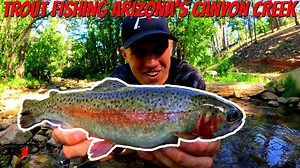 61K views · 145 reactions | Canyon Creek is a small stream stocked with trout weekly from spring through summer in the mountains above Payson. In this episode of Pautzke Outdoors we explore the system and show you how to catch trout here now. | Pautzke Bait Company | Facebook