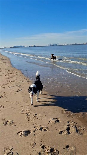 November zomerweer | Berenice Defort