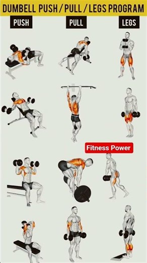 Complete Dumbbell Push Pull Legs Workout | Full Body Muscle Building Routine