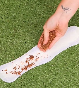 48K views · 99 reactions | Cool gardening hacks and DIYs! | 5-Minute Crafts Family | Facebook