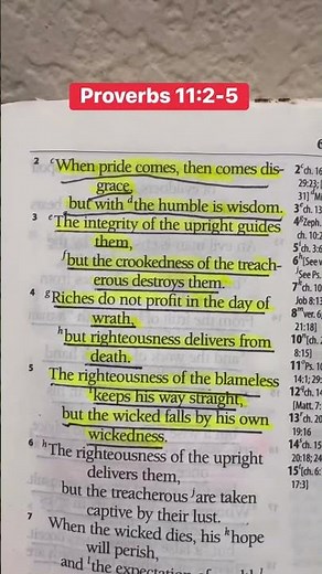 Pride Brings Destruction — But Righteousness Saves | Proverbs 11:2–5