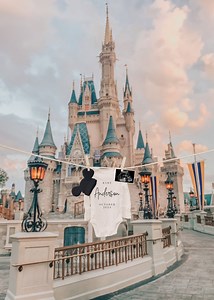 Magic Pregnancy Announcement Digital | Digital Baby Announcement Magic | Mouse Pregnancy | Download Social Media Facebook Instagram Post - Etsy