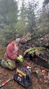 #bobcat #fur #furtrapping #offgridlife #letsgo #furtrapper #45KFollowers Funke Trap Tags & Supplies Duke Traps | Paul Antczak