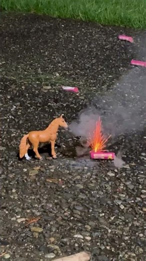 London is the firework queen (she did not blow up like the last horse 😅)