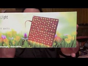 Dommia LED Grow Light