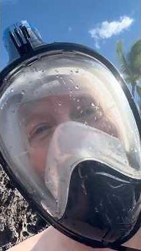 Snorkeling in Maui — Green Sea Turtles at Five Graves