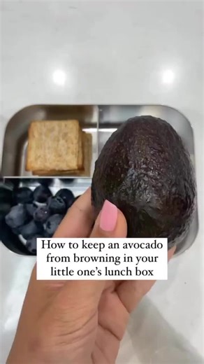 Here’s to keeping those 🥑 green and your kid (hopefully 🤞) eating it instead of sending it home! Use this for baby led weaning daycare lunches or older kid preschool lunches! ______________ 👋 Hey, I’m Edwena! I’m a registered pediatric dietitian, mom of 2, and the creator of the Texture Timeline™ and Toddler Led Feeding™. 👉 If you haven’t taken a course for feeding your toddler, we believe that there’s so much you can do to prevent picky eating, avoid nutrient deficiencies and an unhealthy r