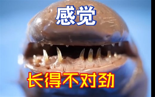 Caecilians - 巨型毒牙蠕虫