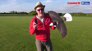 7.3K views · 175 reactions | Return of Go Go Bird EAGLE RC Ornithopter ! | Essential RC | Facebook