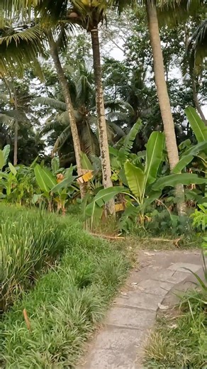 10K views · 157 reactions | Full Video Out Now! #bali #travel #vlog #kaashchaudhary #trendingreelsvideo | Kaash Chaudhary | Facebook