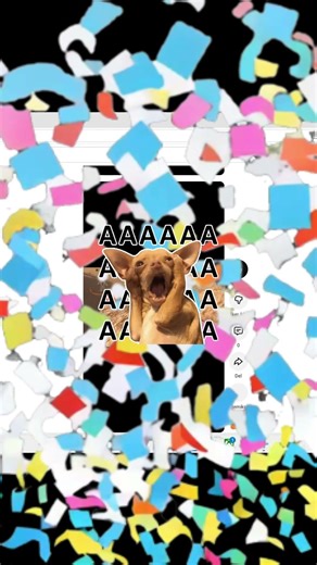 2k views on my first ever video is insane bro