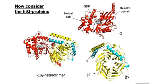 [UCL]Cell0010 L5 W23
