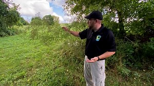 Poison hemlock: What you need to know