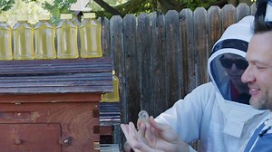 435 reactions · 32 shares | Want a sweet way to bond with your family? Introduce a Flow Hive to your yard!  Harvest fresh honey together, straight from the hive, and unlock the secrets of these tiny superheroes. Ready to get started? | Flow Hive | Facebook