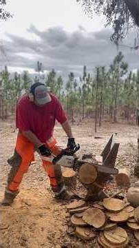 Stihl MS391 Build - Test Cuts