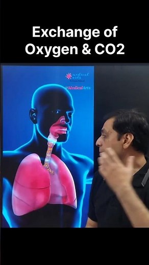 Exchange of oxygen and carbon dioxide in 10th class science : Creating Curiosity: #tonk