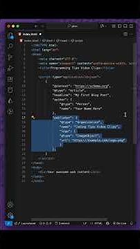 What is ld+json? Your Website's SEO Superpower Explained in 60 Secs!