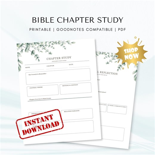 Bible Chapter Study Worksheet | Scripture Study Guide (digital PDF) - Etsy