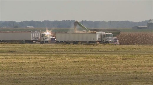 Global competition, outdated Farm Bill threaten Arkansas rice farming future