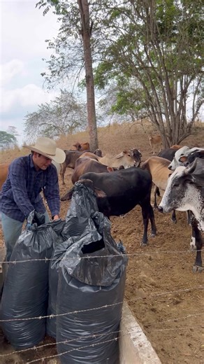 Vida de Rancho: Costumbres y Tradiciones